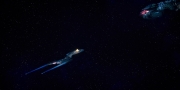 extant_StarTrekDiscovery_1x09-IntoTheForestIGo_1726.jpg