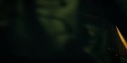 Filename=extant_StarTrekDiscovery_1x09-IntoTheForestIGo_1966.jpg
Filesize=110KiB
Dimensions=1920x960
Date added=Jan 02, 2019 extant_StarTrekDiscovery_1x09-IntoTheForestIGo_1966.jpg