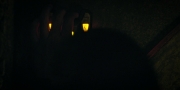 Filename=extant_StarTrekDiscovery_1x09-IntoTheForestIGo_1975.jpg
Filesize=87KiB
Dimensions=1920x960
Date added=Jan 02, 2019 extant_StarTrekDiscovery_1x09-IntoTheForestIGo_1975.jpg