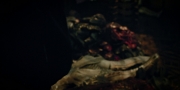 Filename=extant_StarTrekDiscovery_1x09-IntoTheForestIGo_2016.jpg
Filesize=135KiB
Dimensions=1920x960
Date added=Jan 02, 2019 extant_StarTrekDiscovery_1x09-IntoTheForestIGo_2016.jpg