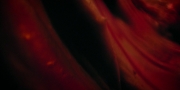 Filename=extant_StarTrekDiscovery_1x09-IntoTheForestIGo_2074.jpg
Filesize=128KiB
Dimensions=1920x960
Date added=Jan 02, 2019 extant_StarTrekDiscovery_1x09-IntoTheForestIGo_2074.jpg