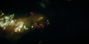 Filename=extant_StarTrekDiscovery_1x09-IntoTheForestIGo_2079.jpg
Filesize=106KiB
Dimensions=1920x960
Date added=Jan 02, 2019 extant_StarTrekDiscovery_1x09-IntoTheForestIGo_2079.jpg