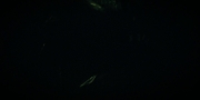 extant_StarTrekDiscovery_1x09-IntoTheForestIGo_2080.jpg
