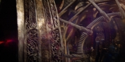 Filename=extant_StarTrekDiscovery_1x09-IntoTheForestIGo_2289.jpg
Filesize=184KiB
Dimensions=1920x960
Date added=Jan 02, 2019 extant_StarTrekDiscovery_1x09-IntoTheForestIGo_2289.jpg
