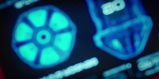Filename=extant_StarTrekDiscovery_1x09-IntoTheForestIGo_2355.jpg
Filesize=141KiB
Dimensions=1920x960
Date added=Jan 02, 2019 extant_StarTrekDiscovery_1x09-IntoTheForestIGo_2355.jpg