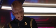 Filename=extant_StarTrekDiscovery_1x09-IntoTheForestIGo_2363.jpg
Filesize=195KiB
Dimensions=1920x960
Date added=Jan 02, 2019 extant_StarTrekDiscovery_1x09-IntoTheForestIGo_2363.jpg