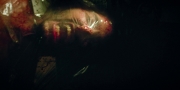 Filename=extant_StarTrekDiscovery_1x09-IntoTheForestIGo_2570.jpg
Filesize=122KiB
Dimensions=1920x960
Date added=Jan 02, 2019 extant_StarTrekDiscovery_1x09-IntoTheForestIGo_2570.jpg