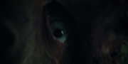 extant_StarTrekDiscovery_1x09-IntoTheForestIGo_2600.jpg