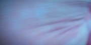 Filename=extant_StarTrekDiscovery_1x09-IntoTheForestIGo_2644.jpg
Filesize=238KiB
Dimensions=1920x960
Date added=Jan 02, 2019 extant_StarTrekDiscovery_1x09-IntoTheForestIGo_2644.jpg
