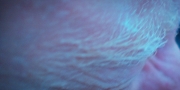 Filename=extant_StarTrekDiscovery_1x09-IntoTheForestIGo_2646.jpg
Filesize=229KiB
Dimensions=1920x960
Date added=Jan 02, 2019 extant_StarTrekDiscovery_1x09-IntoTheForestIGo_2646.jpg