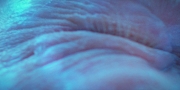 Filename=extant_StarTrekDiscovery_1x09-IntoTheForestIGo_2647.jpg
Filesize=265KiB
Dimensions=1920x960
Date added=Jan 02, 2019 extant_StarTrekDiscovery_1x09-IntoTheForestIGo_2647.jpg
