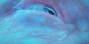 Filename=extant_StarTrekDiscovery_1x09-IntoTheForestIGo_2648.jpg
Filesize=232KiB
Dimensions=1920x960
Date added=Jan 02, 2019 extant_StarTrekDiscovery_1x09-IntoTheForestIGo_2648.jpg