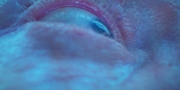 Filename=extant_StarTrekDiscovery_1x09-IntoTheForestIGo_2649.jpg
Filesize=278KiB
Dimensions=1920x960
Date added=Jan 02, 2019 extant_StarTrekDiscovery_1x09-IntoTheForestIGo_2649.jpg
