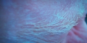 Filename=extant_StarTrekDiscovery_1x09-IntoTheForestIGo_2661.jpg
Filesize=236KiB
Dimensions=1920x960
Date added=Jan 02, 2019 extant_StarTrekDiscovery_1x09-IntoTheForestIGo_2661.jpg