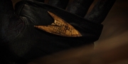 Filename=extant_StarTrekDiscovery_1x09-IntoTheForestIGo_3087.jpg
Filesize=155KiB
Dimensions=1920x960
Date added=Jan 02, 2019 extant_StarTrekDiscovery_1x09-IntoTheForestIGo_3087.jpg