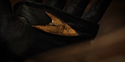 Filename=extant_StarTrekDiscovery_1x09-IntoTheForestIGo_3088.jpg
Filesize=166KiB
Dimensions=1920x960
Date added=Jan 02, 2019 extant_StarTrekDiscovery_1x09-IntoTheForestIGo_3088.jpg