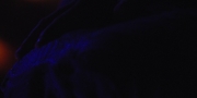 Filename=extant_StarTrekDiscovery_1x09-IntoTheForestIGo_4525.jpg
Filesize=75KiB
Dimensions=1920x960
Date added=Jan 02, 2019 extant_StarTrekDiscovery_1x09-IntoTheForestIGo_4525.jpg