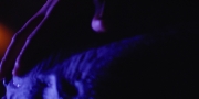 Filename=extant_StarTrekDiscovery_1x09-IntoTheForestIGo_4527.jpg
Filesize=117KiB
Dimensions=1920x960
Date added=Jan 02, 2019 extant_StarTrekDiscovery_1x09-IntoTheForestIGo_4527.jpg