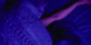 Filename=extant_StarTrekDiscovery_1x09-IntoTheForestIGo_4529.jpg
Filesize=197KiB
Dimensions=1920x960
Date added=Jan 02, 2019 extant_StarTrekDiscovery_1x09-IntoTheForestIGo_4529.jpg
