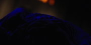 Filename=extant_StarTrekDiscovery_1x09-IntoTheForestIGo_4543.jpg
Filesize=67KiB
Dimensions=1920x960
Date added=Jan 02, 2019 extant_StarTrekDiscovery_1x09-IntoTheForestIGo_4543.jpg