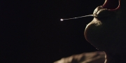 Filename=extant_StarTrekDiscovery_1x09-IntoTheForestIGo_4562.jpg
Filesize=117KiB
Dimensions=1920x960
Date added=Jan 02, 2019 extant_StarTrekDiscovery_1x09-IntoTheForestIGo_4562.jpg