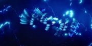 Filename=extant_StarTrekDiscovery_1x09-IntoTheForestIGo_4862.jpg
Filesize=214KiB
Dimensions=1920x960
Date added=Jan 02, 2019 extant_StarTrekDiscovery_1x09-IntoTheForestIGo_4862.jpg
