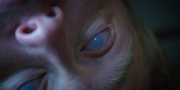 Filename=extant_StarTrekDiscovery_1x09-IntoTheForestIGo_4947.jpg
Filesize=249KiB
Dimensions=1920x960
Date added=Jan 02, 2019 extant_StarTrekDiscovery_1x09-IntoTheForestIGo_4947.jpg