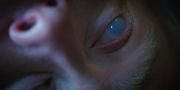 Filename=extant_StarTrekDiscovery_1x09-IntoTheForestIGo_4950.jpg
Filesize=220KiB
Dimensions=1920x960
Date added=Jan 02, 2019 extant_StarTrekDiscovery_1x09-IntoTheForestIGo_4950.jpg