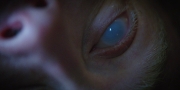 Filename=extant_StarTrekDiscovery_1x09-IntoTheForestIGo_4952.jpg
Filesize=211KiB
Dimensions=1920x960
Date added=Jan 02, 2019 extant_StarTrekDiscovery_1x09-IntoTheForestIGo_4952.jpg