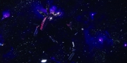 Filename=extant_StarTrekDiscovery_1x09-IntoTheForestIGo_5052.jpg
Filesize=139KiB
Dimensions=1920x960
Date added=Jan 02, 2019 extant_StarTrekDiscovery_1x09-IntoTheForestIGo_5052.jpg