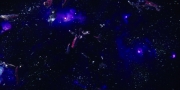 Filename=extant_StarTrekDiscovery_1x09-IntoTheForestIGo_5055.jpg
Filesize=156KiB
Dimensions=1920x960
Date added=Jan 02, 2019 extant_StarTrekDiscovery_1x09-IntoTheForestIGo_5055.jpg