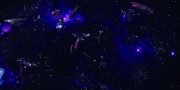 Filename=extant_StarTrekDiscovery_1x09-IntoTheForestIGo_5056.jpg
Filesize=155KiB
Dimensions=1920x960
Date added=Jan 02, 2019 extant_StarTrekDiscovery_1x09-IntoTheForestIGo_5056.jpg