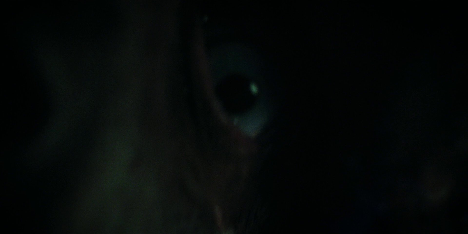 extant_StarTrekDiscovery_1x10-DespiteYourself_1183.jpg