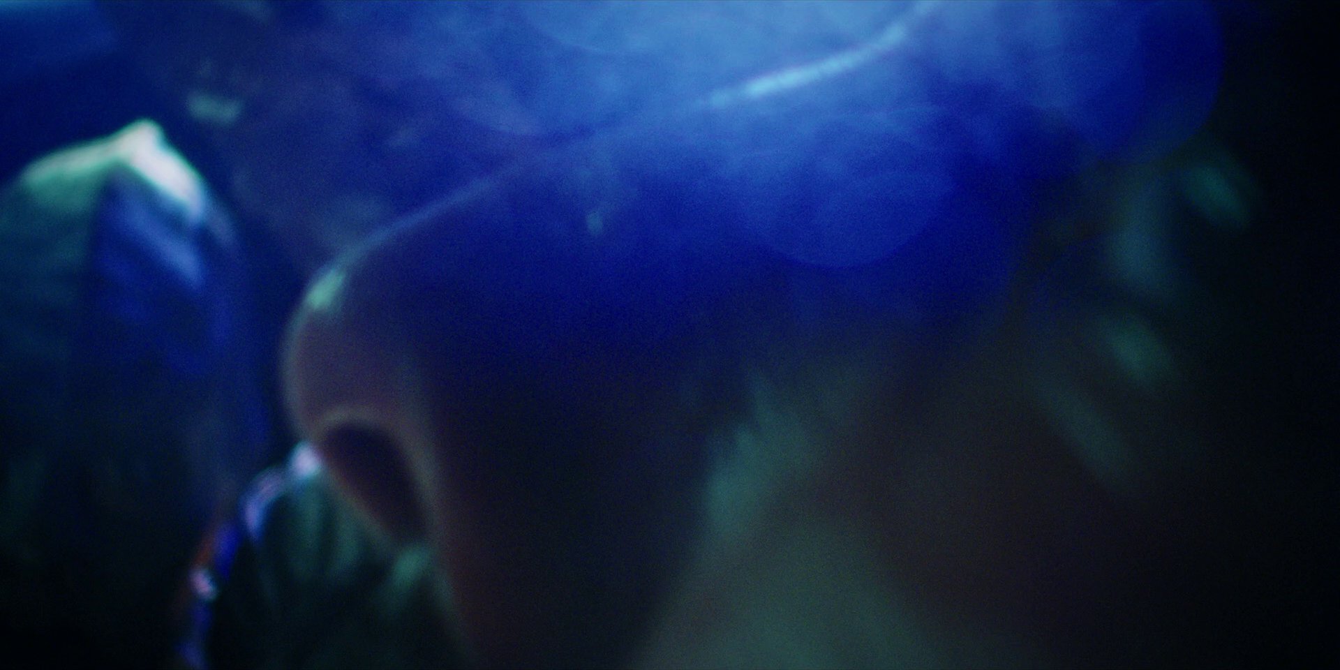 extant_StarTrekDiscovery_1x10-DespiteYourself_1186.jpg