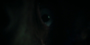 Filename=extant_StarTrekDiscovery_1x10-DespiteYourself_1183.jpg
Filesize=66KiB
Dimensions=1920x960
Date added=Jan 02, 2019 extant_StarTrekDiscovery_1x10-DespiteYourself_1183.jpg