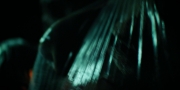 Filename=extant_StarTrekDiscovery_1x10-DespiteYourself_1208.jpg
Filesize=112KiB
Dimensions=1920x960
Date added=Jan 02, 2019 extant_StarTrekDiscovery_1x10-DespiteYourself_1208.jpg
