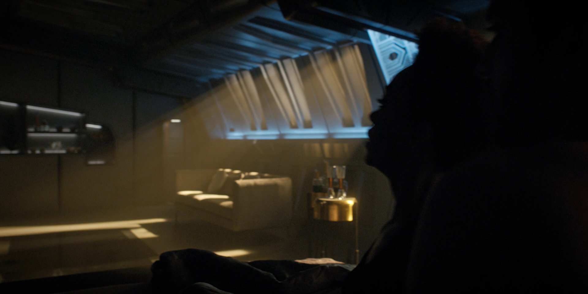 extant_StarTrekDiscovery_1x11-TheWolfInside_0826.jpg