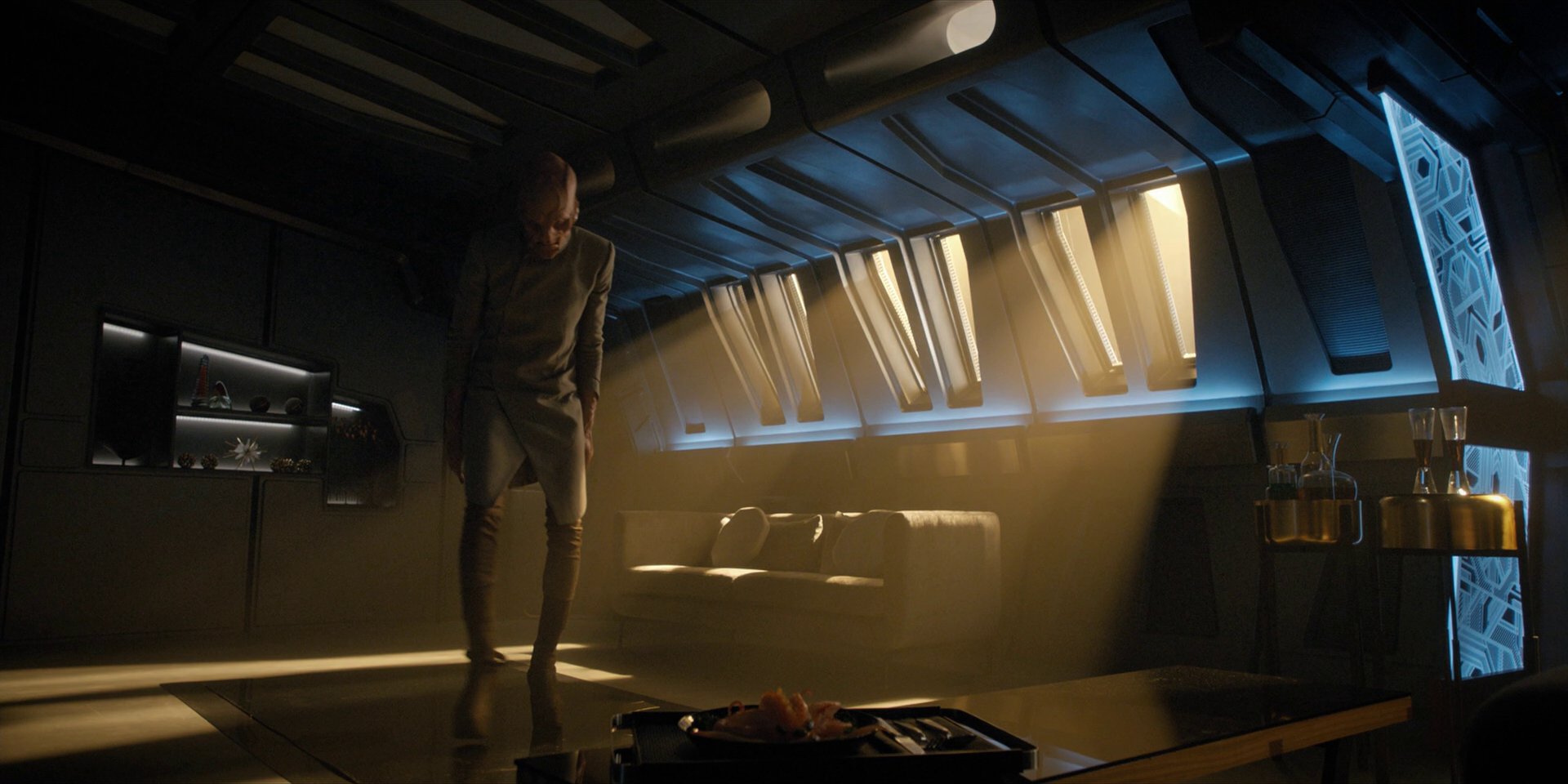 extant_StarTrekDiscovery_1x11-TheWolfInside_0893.jpg