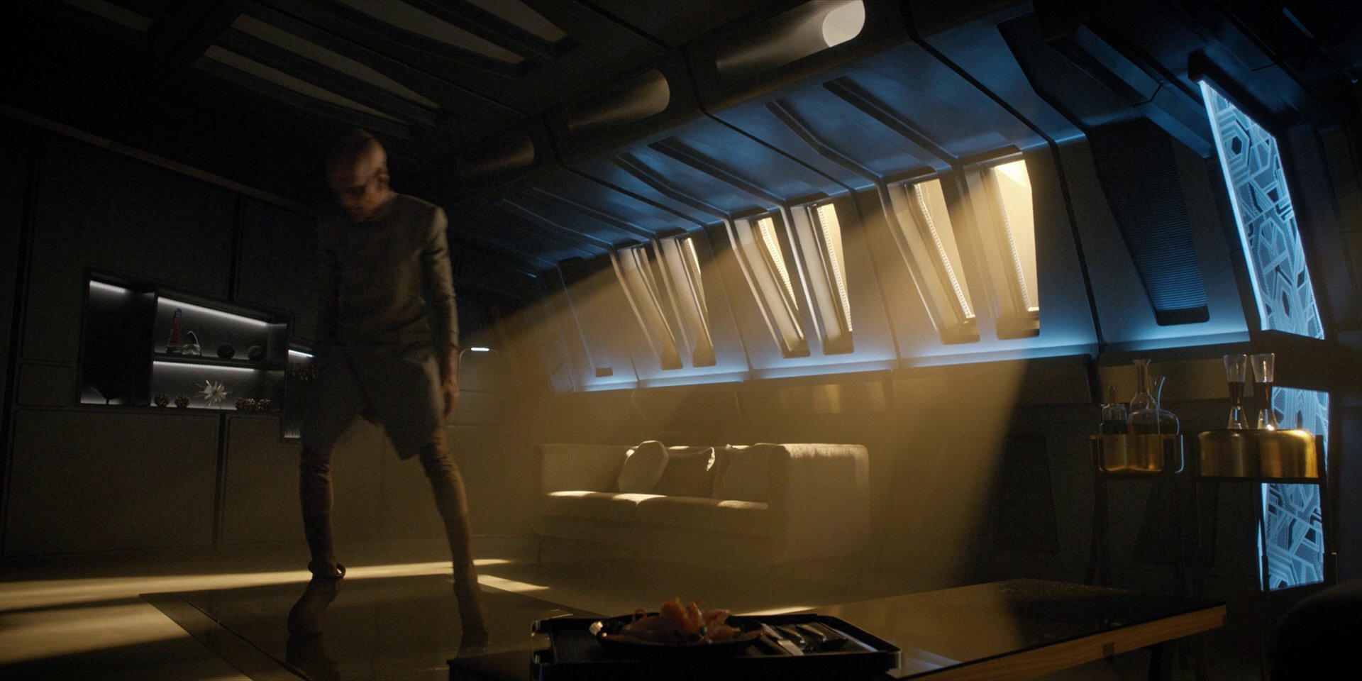 extant_StarTrekDiscovery_1x11-TheWolfInside_0894.jpg