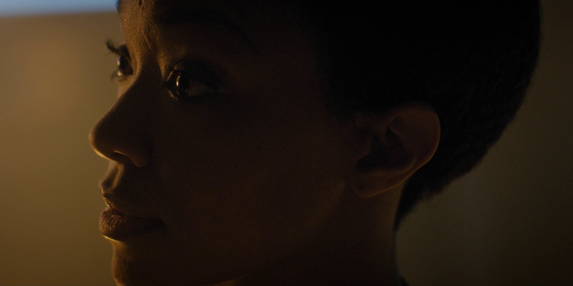 extant_StarTrekDiscovery_1x11-TheWolfInside_1032.jpg