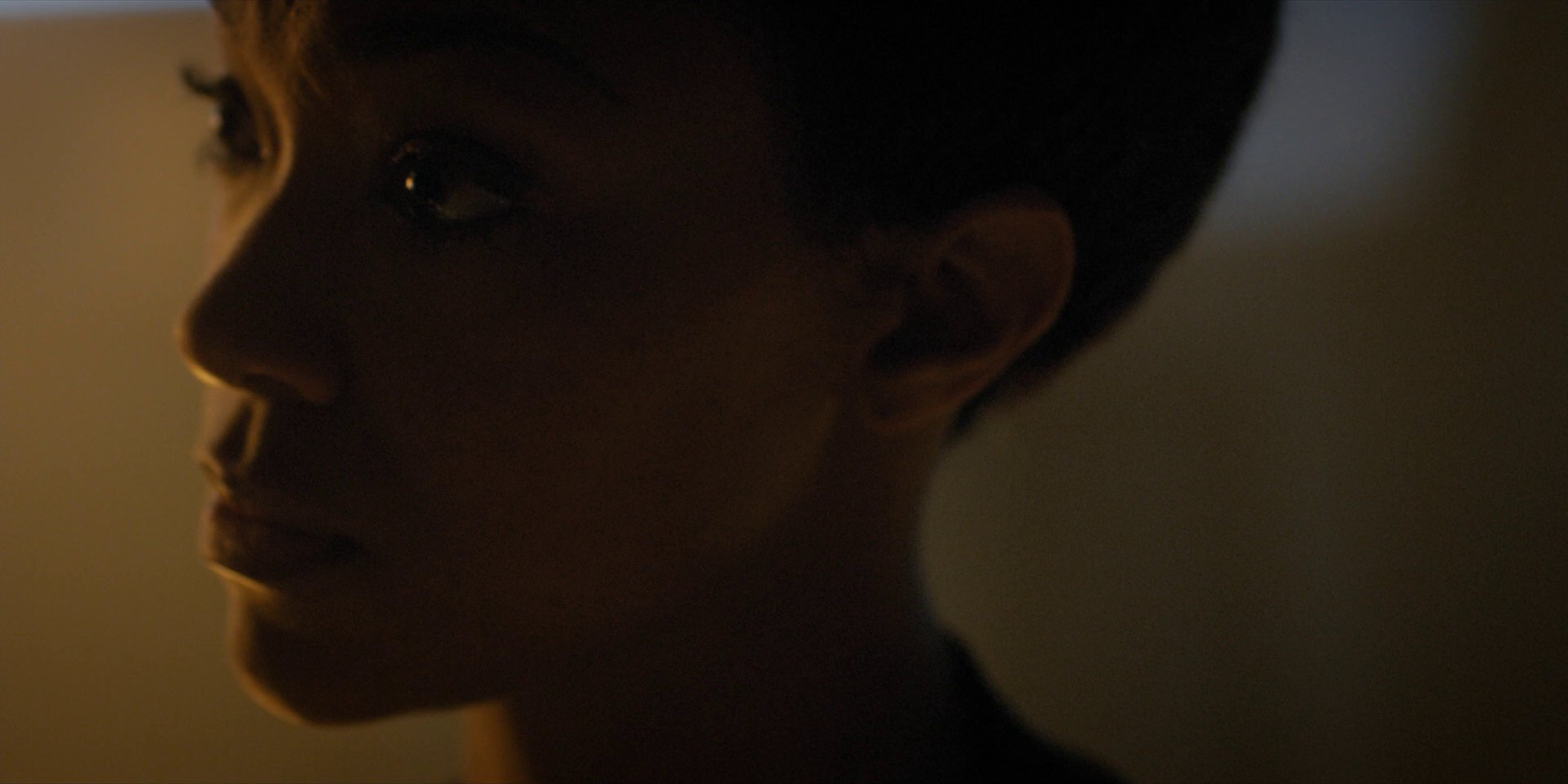 extant_StarTrekDiscovery_1x11-TheWolfInside_1034.jpg