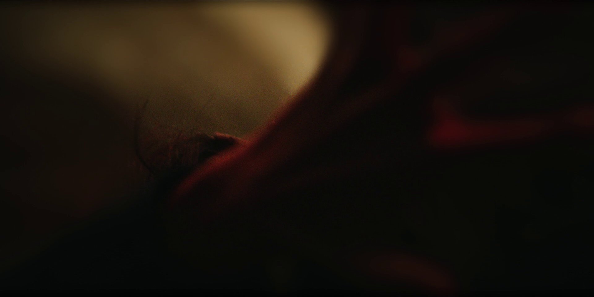 extant_StarTrekDiscovery_1x11-TheWolfInside_4292.jpg