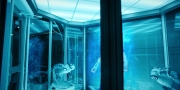 Filename=extant_StarTrekDiscovery_1x11-TheWolfInside_2125.jpg
Filesize=224KiB
Dimensions=1920x960
Date added=Jan 02, 2019 extant_StarTrekDiscovery_1x11-TheWolfInside_2125.jpg