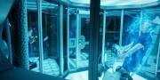 Filename=extant_StarTrekDiscovery_1x11-TheWolfInside_3464.jpg
Filesize=268KiB
Dimensions=1920x960
Date added=Jan 02, 2019 extant_StarTrekDiscovery_1x11-TheWolfInside_3464.jpg