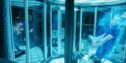 Filename=extant_StarTrekDiscovery_1x11-TheWolfInside_3466.jpg
Filesize=271KiB
Dimensions=1920x960
Date added=Jan 02, 2019 extant_StarTrekDiscovery_1x11-TheWolfInside_3466.jpg