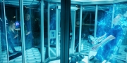 Filename=extant_StarTrekDiscovery_1x11-TheWolfInside_3469.jpg
Filesize=270KiB
Dimensions=1920x960
Date added=Jan 02, 2019 extant_StarTrekDiscovery_1x11-TheWolfInside_3469.jpg