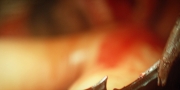 Filename=extant_StarTrekDiscovery_1x11-TheWolfInside_3919.jpg
Filesize=163KiB
Dimensions=1920x960
Date added=Jan 02, 2019 extant_StarTrekDiscovery_1x11-TheWolfInside_3919.jpg