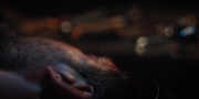 Filename=extant_StarTrekDiscovery_1x11-TheWolfInside_3945.jpg
Filesize=168KiB
Dimensions=1920x960
Date added=Jan 02, 2019 extant_StarTrekDiscovery_1x11-TheWolfInside_3945.jpg
