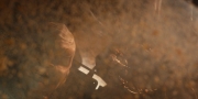 extant_StarTrekDiscovery_1x11-TheWolfInside_3951.jpg