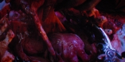 Filename=extant_StarTrekDiscovery_1x11-TheWolfInside_3979.jpg
Filesize=186KiB
Dimensions=1920x960
Date added=Jan 02, 2019 extant_StarTrekDiscovery_1x11-TheWolfInside_3979.jpg